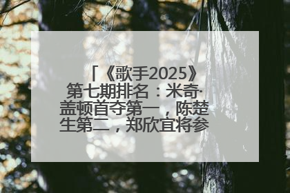 《歌手2025》第七期排名：米奇·盖顿首夺第一，陈楚生第二，郑欣宜将参加下一轮张榜赛