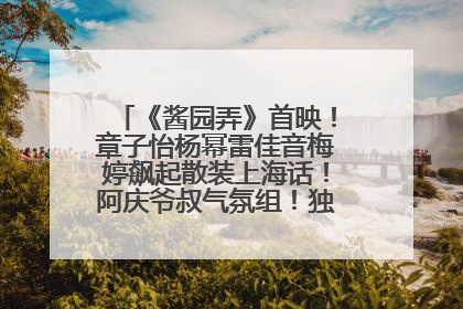 《酱园弄》首映！章子怡杨幂雷佳音梅婷飙起散装上海话！阿庆爷叔气氛组！独独没见他……