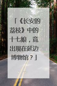 《长安的荔枝》中的十七娘，竟出现在延边博物馆？