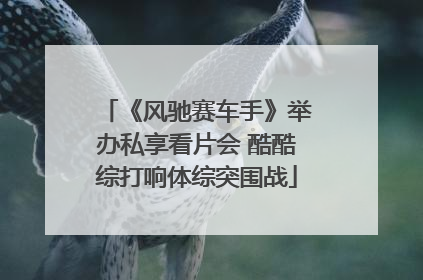 《风驰赛车手》举办私享看片会 酷酷综打响体综突围战