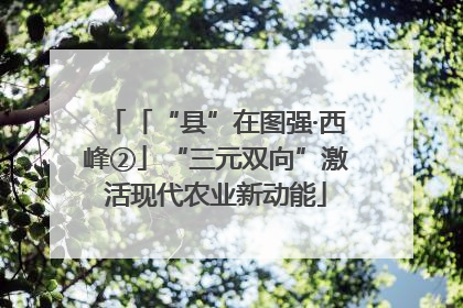 「“县”在图强·西峰②」“三元双向”激活现代农业新动能
