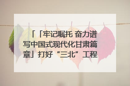 「牢记嘱托 奋力谱写中国式现代化甘肃篇章」打好“三北”工程攻坚战 筑牢国家西部生态安全屏障