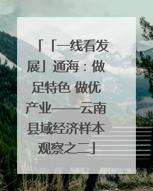 「一线看发展」通海：做足特色 做优产业——云南县域经济样本观察之二