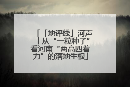 「地评线」河声丨从“一粒种子”看河南“两高四着力”的落地生根