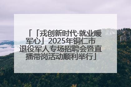 「戎创新时代·就业暖军心」2025年铜仁市退役军人专场招聘会暨直播带岗活动顺利举行