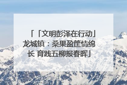 「文明彭泽在行动」龙城镇：桑果盈筐情绵长 育践五柳报春晖