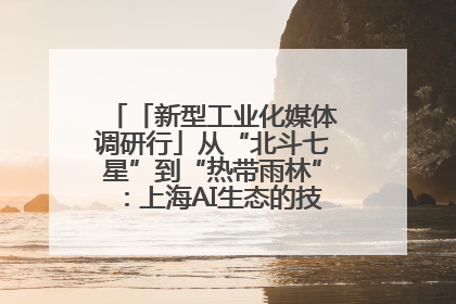 「新型工业化媒体调研行」从“北斗七星”到“热带雨林”：上海AI生态的技术商业共生密码