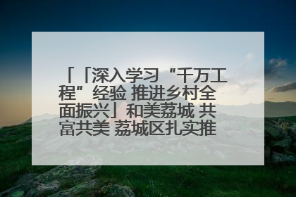 「深入学习“千万工程”经验 推进乡村全面振兴」和美荔城 共富共美 荔城区扎实推进乡村振兴工作