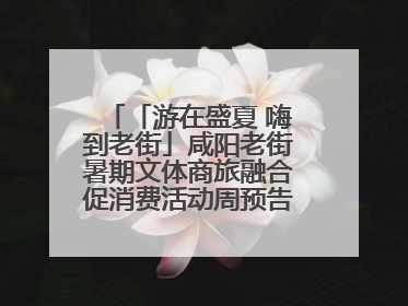 「游在盛夏 嗨到老街」咸阳老街暑期文体商旅融合促消费活动周预告来了！