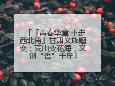 「青春华章·重走西北角」甘肃文旅嬗变：荒山变花海，文创“语”千年