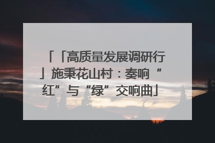 「高质量发展调研行」施秉花山村：奏响“红”与“绿”交响曲