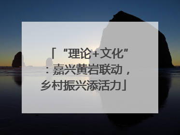 “理论+文化”：嘉兴黄岩联动，乡村振兴添活力
