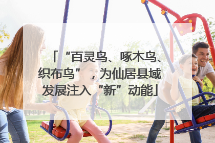 “百灵鸟、啄木鸟、织布鸟”，为仙居县域发展注入“新”动能