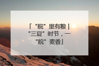 “皖”里有粮｜“三夏”时节，一“皖”麦香