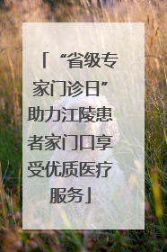 “省级专家门诊日”助力江陵患者家门口享受优质医疗服务
