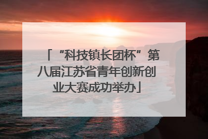 “科技镇长团杯”第八届江苏省青年创新创业大赛成功举办