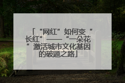 “网红”如何变“长红”——“一朵花”激活城市文化基因的破题之路