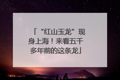 “红山玉龙”现身上海！来看五千多年前的这条龙