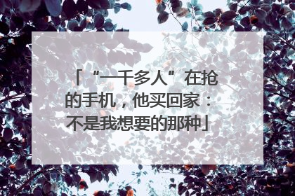 “一千多人”在抢的手机，他买回家：不是我想要的那种