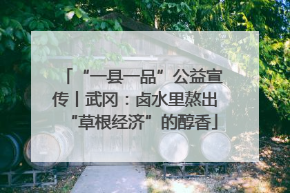 “一县一品”公益宣传丨武冈：卤水里熬出“草根经济”的醇香
