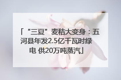 “三夏”麦秸大变身：五河县年发2.5亿千瓦时绿电 供20万吨蒸汽