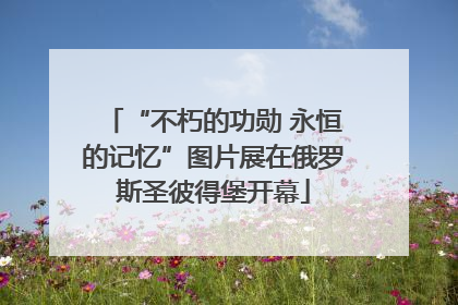 “不朽的功勋 永恒的记忆”图片展在俄罗斯圣彼得堡开幕