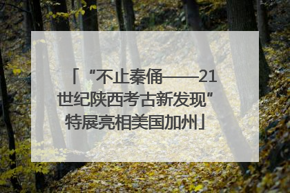 “不止秦俑——21世纪陕西考古新发现”特展亮相美国加州