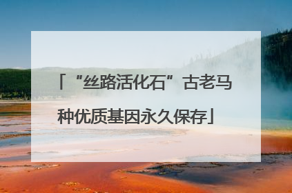 “丝路活化石”古老马种优质基因永久保存