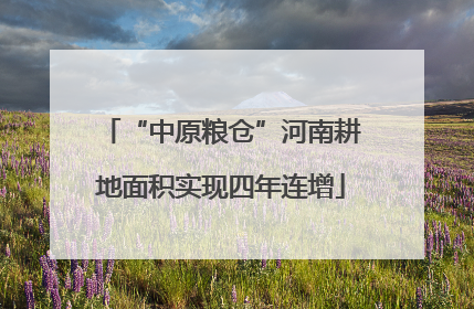 “中原粮仓”河南耕地面积实现四年连增
