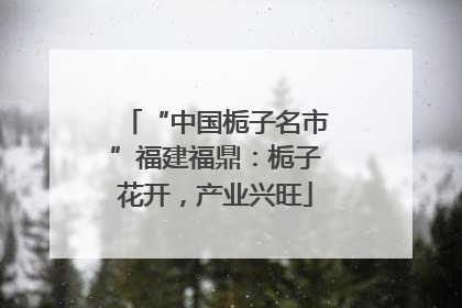 “中国栀子名市”福建福鼎：栀子花开，产业兴旺