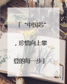 “中国芯”，珍惜向上攀登的每一步