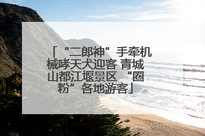 “二郎神”手牵机械哮天犬迎客 青城山都江堰景区 “圈粉”各地游客