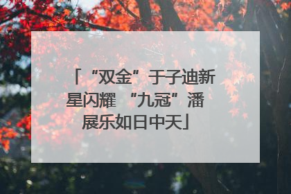 “双金”于子迪新星闪耀 “九冠”潘展乐如日中天