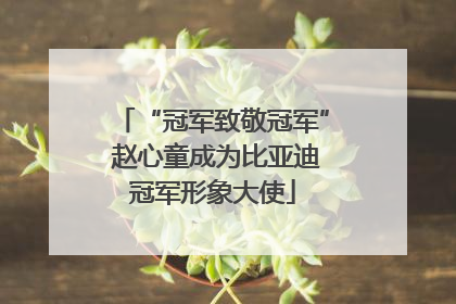 “冠军致敬冠军” 赵心童成为比亚迪冠军形象大使