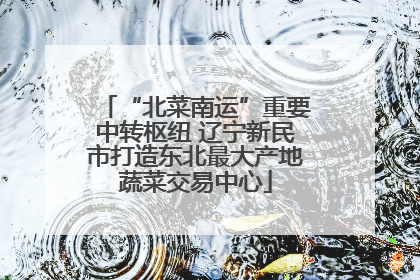 “北菜南运”重要中转枢纽 辽宁新民市打造东北最大产地蔬菜交易中心