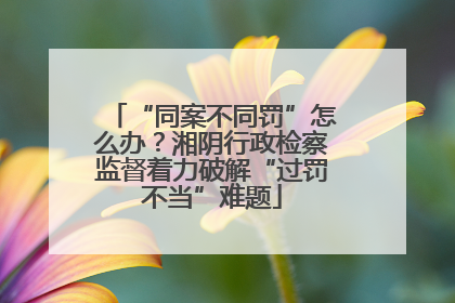 “同案不同罚”怎么办？湘阴行政检察监督着力破解“过罚不当”难题