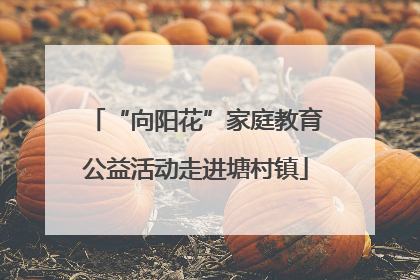 “向阳花”家庭教育公益活动走进塘村镇