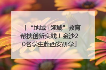 “地域+领域”教育帮扶创新实践！金沙20名学生赴西安研学