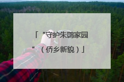 “守护朱鹮家园”（侨乡新貌）