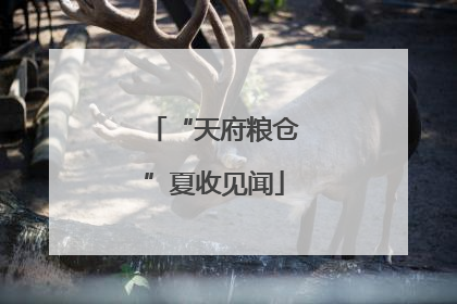 “天府粮仓”夏收见闻