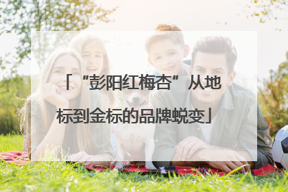“彭阳红梅杏”从地标到金标的品牌蜕变