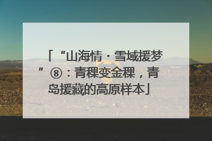 “山海情・雪域援梦”⑧：青稞变金稞，青岛援藏的高原样本