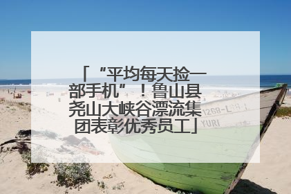 “平均每天捡一部手机”！鲁山县尧山大峡谷漂流集团表彰优秀员工