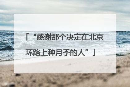 “感谢那个决定在北京环路上种月季的人”