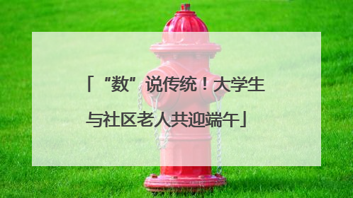 “数”说传统！大学生与社区老人共迎端午