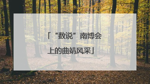 “数说”南博会上的曲靖风采