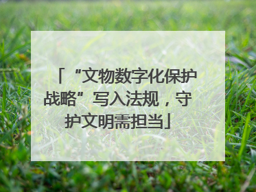 “文物数字化保护战略”写入法规，守护文明需担当