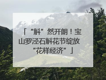 “斛”然开朗！宝山罗泾石斛花节绽放“花样经济”