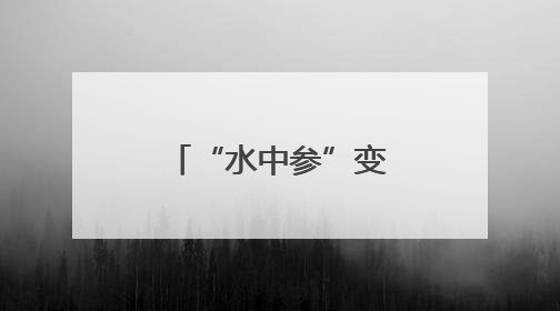 “水中参”变成“致富宝” 南漳八泉村千亩茭白喜获丰收