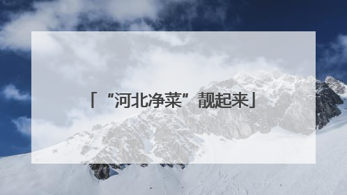“河北净菜”靓起来
